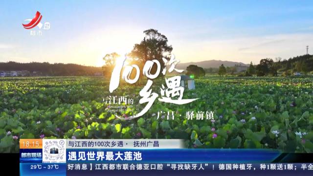 【与江西的100次乡遇】抚州广昌：遇见世界最大莲池