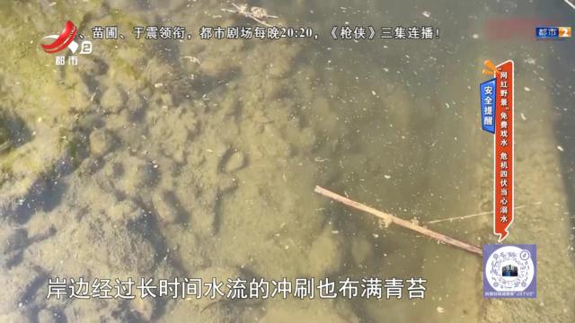地宝当家20240831