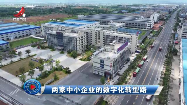 社会传真20240820 两家中小企业的数字化转型路