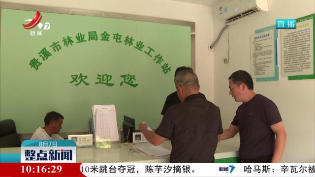 鹰潭颁发首张集体人工商品林承诺制采伐证