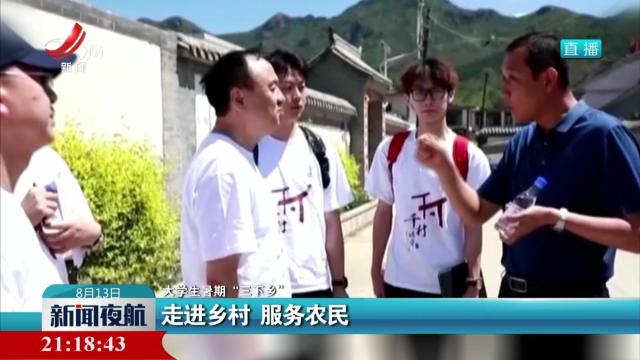 【大学生暑期“三下乡”】走进乡村 服务农民