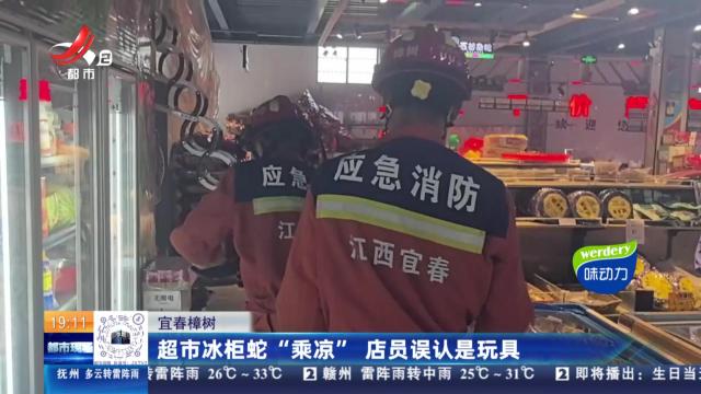 宜春樟树：超市冰柜蛇“乘凉” 店员误认是玩具
