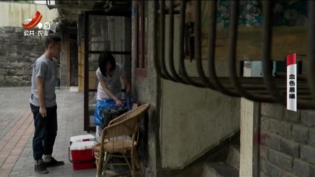 乡村栏目剧场20240820 血色晨曦