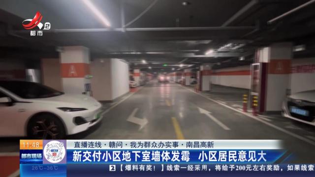 都市现场·午间版20240812