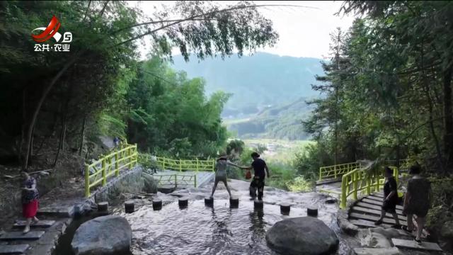 三农头条20240802