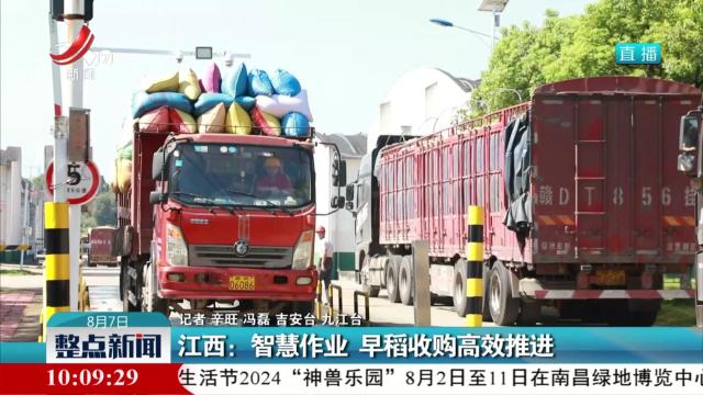 江西：智慧作业 早稻收购高效推进