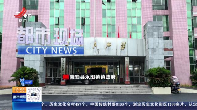 都市现场20240826