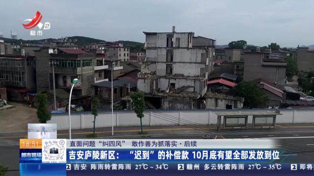 都市现场20240811