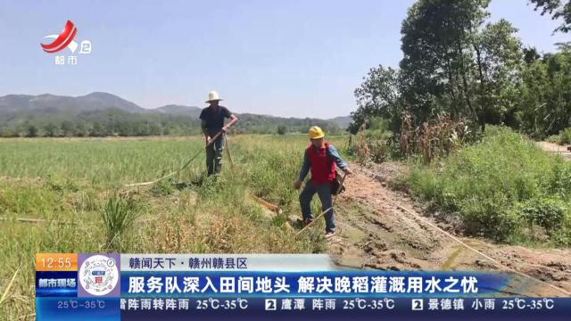 【赣闻天下】赣州赣县区：服务队深入田间地头 解决晚稻灌溉用水之忧