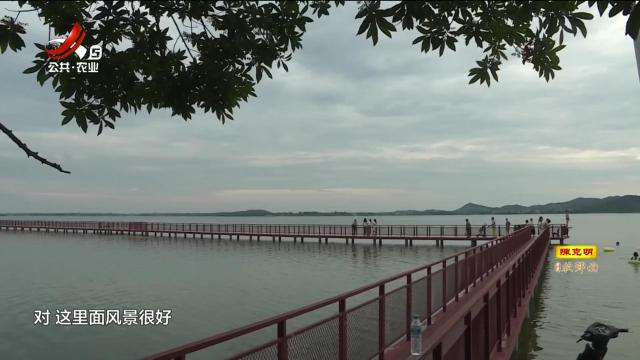 新闻晚高峰20240802