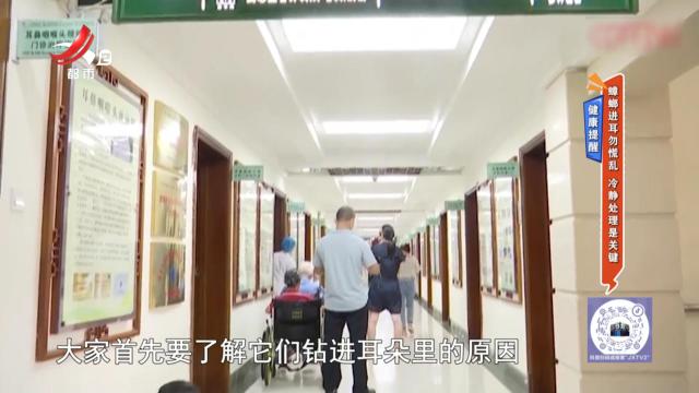 健康提醒——蟑螂进耳勿慌乱 冷静处理是关键
