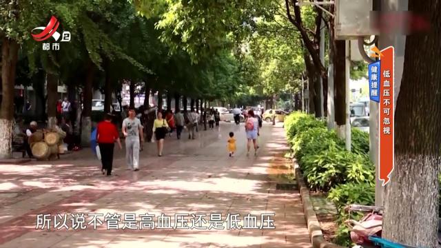 地宝当家20240817