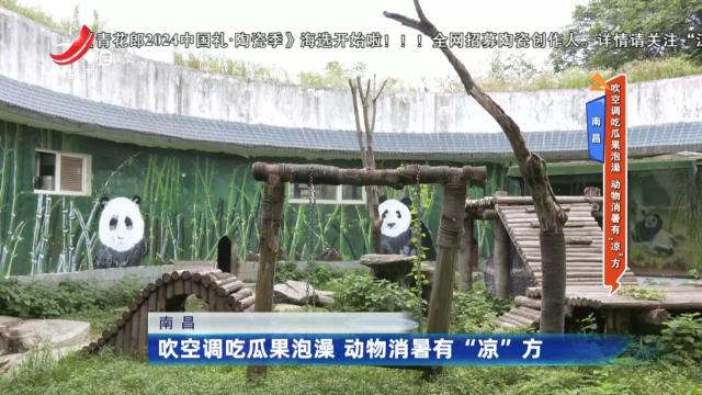 地宝当家20240823