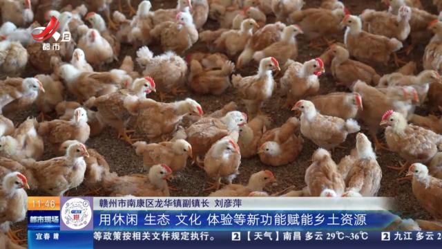 赣州南康：抓“鸡”遇发展特色养殖 增收致富干劲足