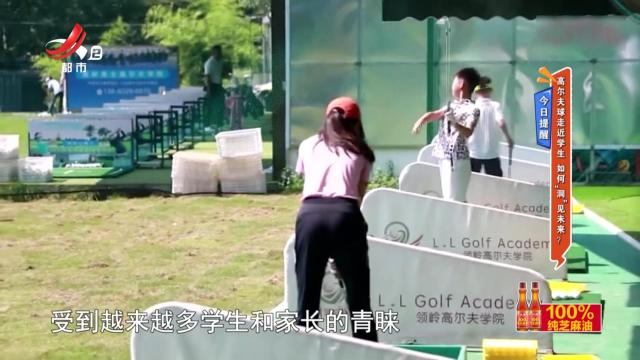地宝当家20240806