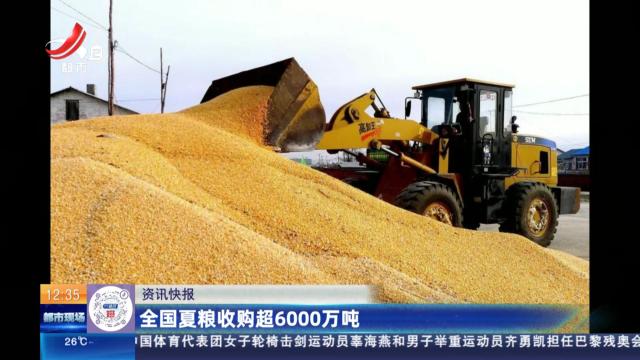 全国夏粮收购超6000万吨