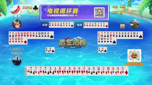 谁是赢家20240828