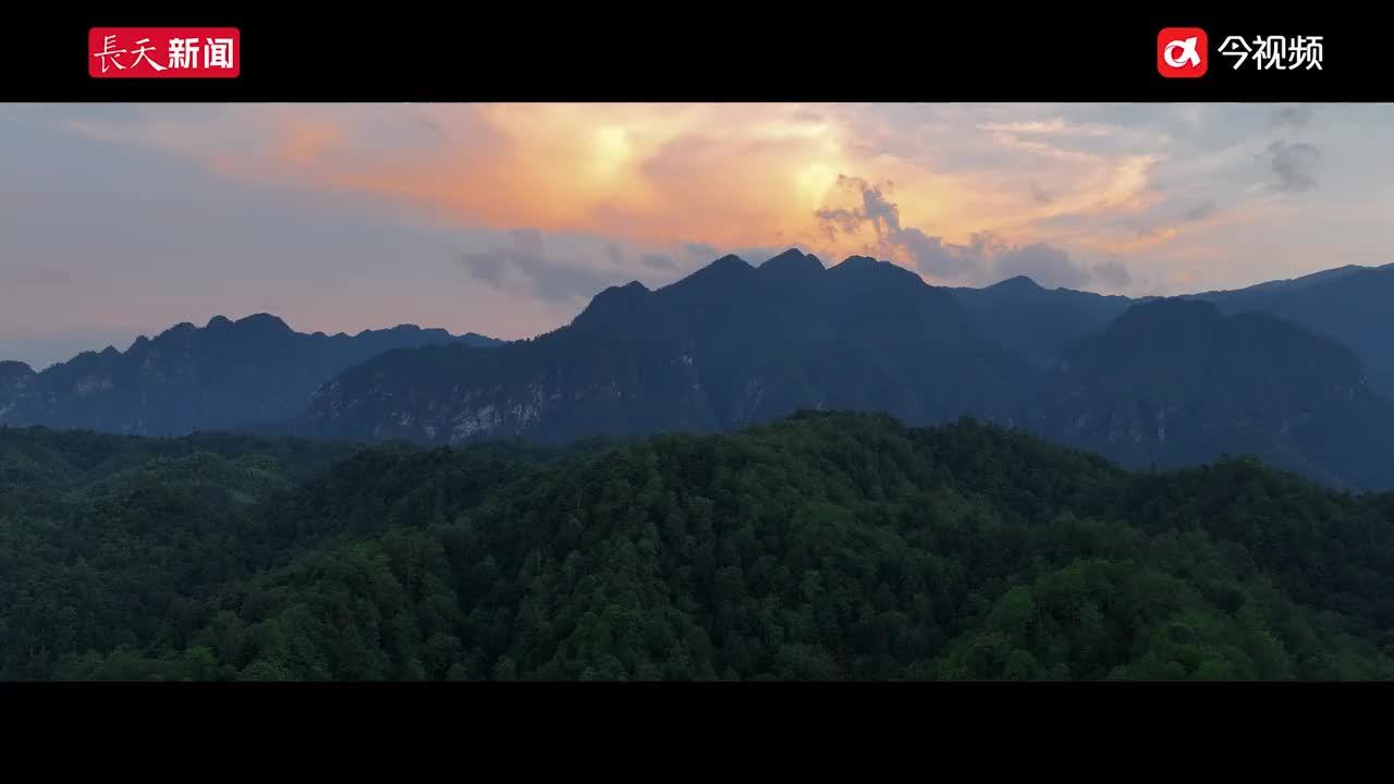 紅色文化傳播行動·采風：讓紅色文化在新時代煥發新活力