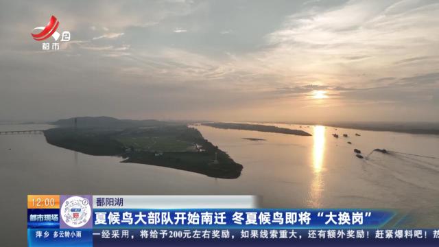 鄱阳湖：夏候鸟大部队开始南迁 冬夏候鸟即将“大换岗”