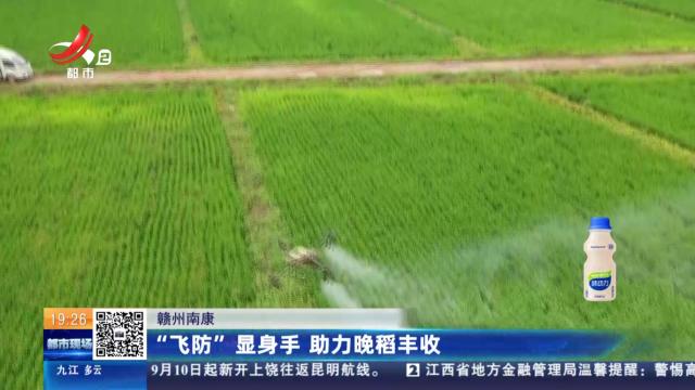 赣州南康：“飞防”显身手 助力晚稻丰收