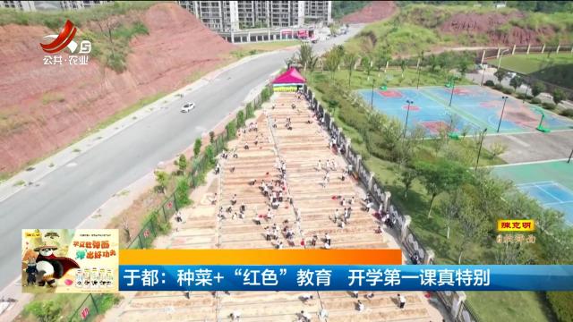 于都：种菜+“红色”教育 开学第一课真特别