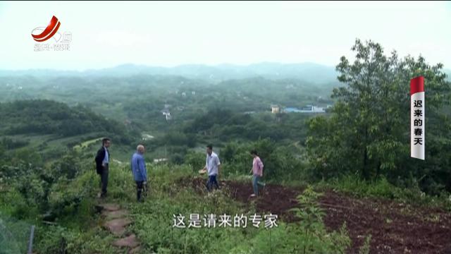 乡村栏目剧场20240923 迟来的春天