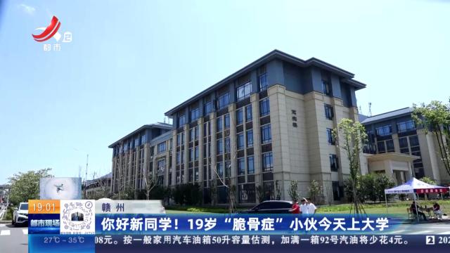 都市现场20240905
