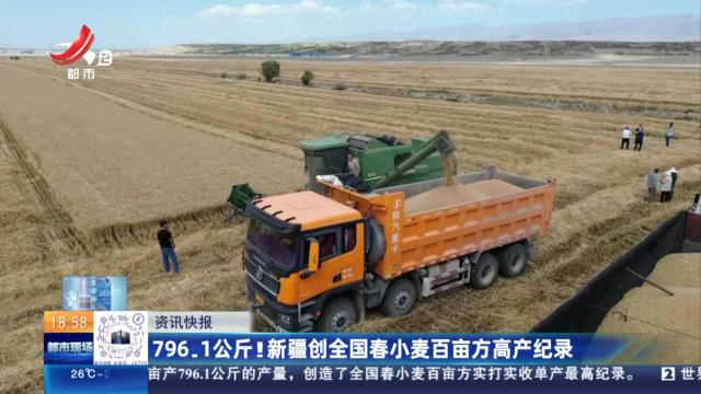 796.1公斤！新疆创全国春小麦百亩方高产纪录