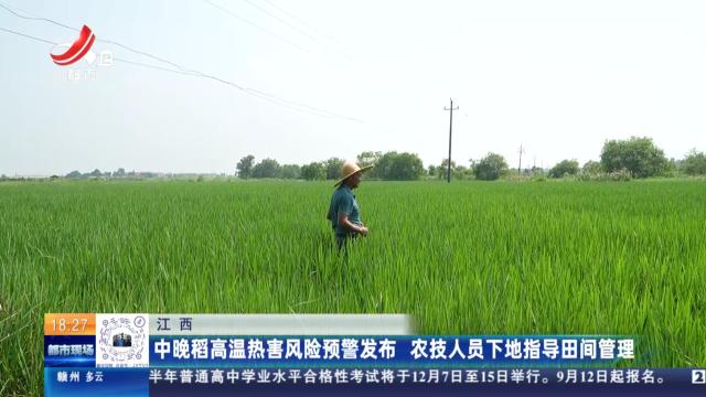江西：中晚稻高温热害风险预警发布 农技人员下地指导田间管理