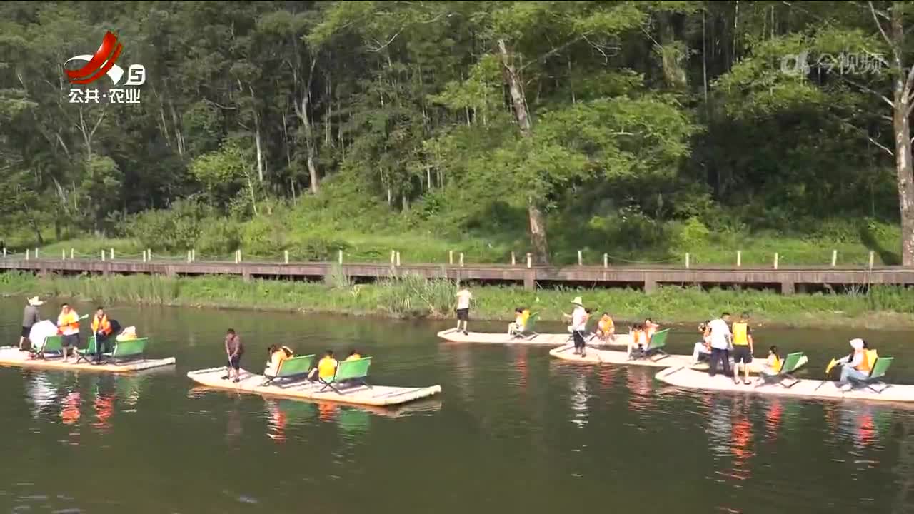两次“靠山吃山”：一次毁生态尝苦果 一次护生态得硕果