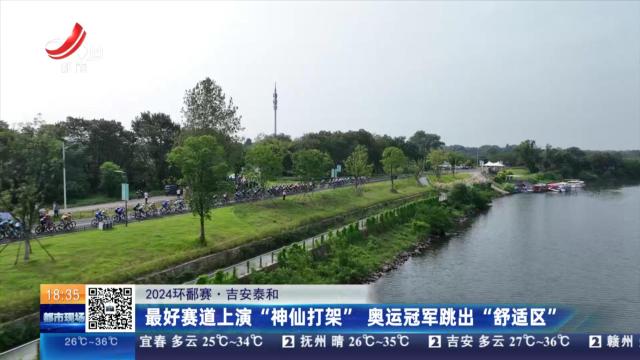 都市现场20240911