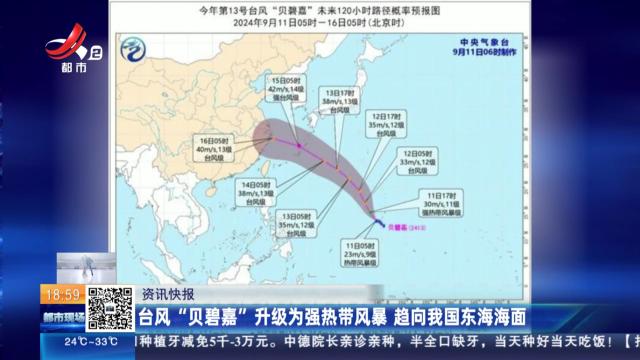 台风“贝碧嘉”升级为强热带风暴 趋向我国东海海面