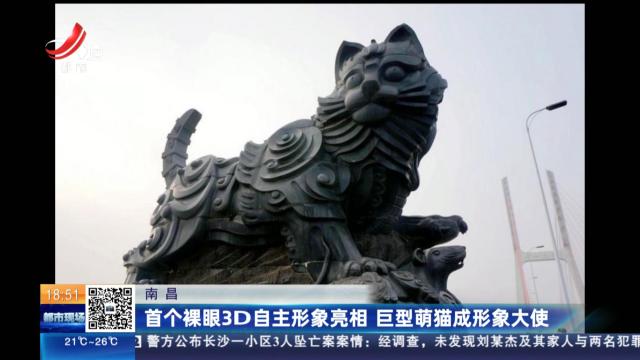 南昌：首个裸眼3D自主形象亮相 巨型萌猫成形象大使