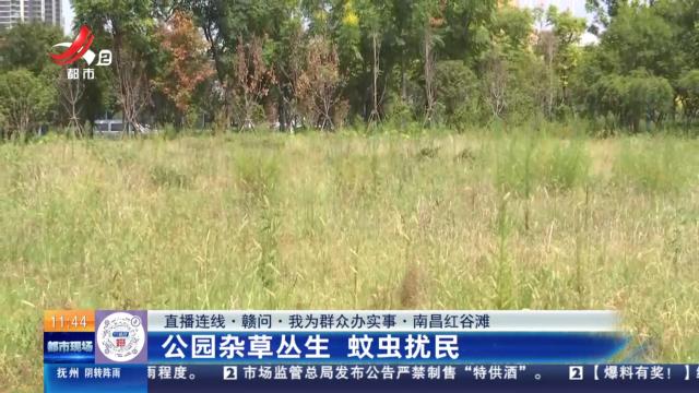 都市现场·午间版20240920