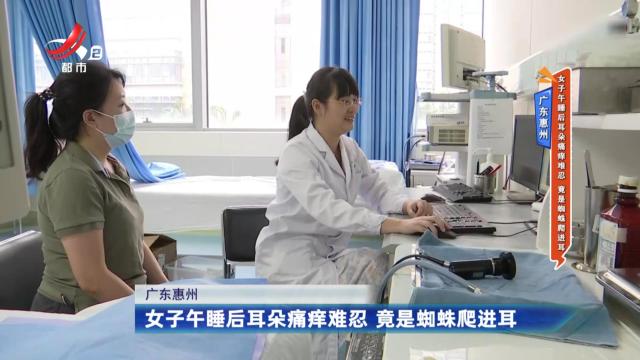 广东惠州：女子午睡后耳朵痛痒难忍 竟是蜘蛛爬进耳