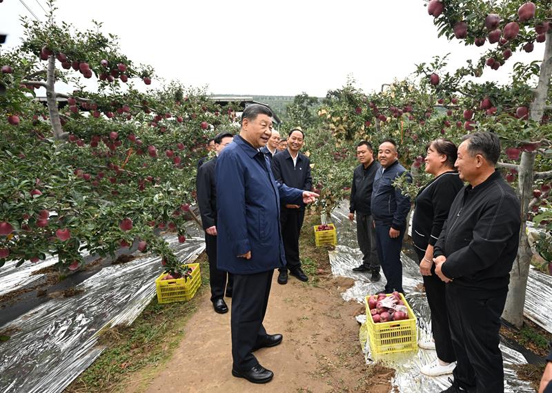 时政微观察丨丰收时节，总书记强调三个“增”