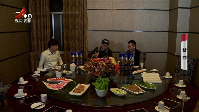乡村栏目剧场20240908 替罪