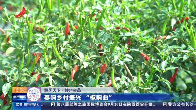 【赣闻天下】赣州会昌：奏响乡村振兴“椒响曲”