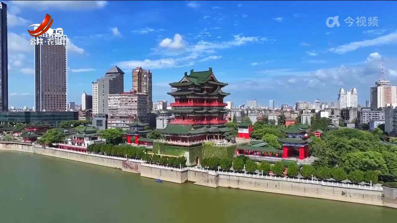 美丽江西在行动20240908 神奇蜕变！ 中华虎凤蝶的生命之旅