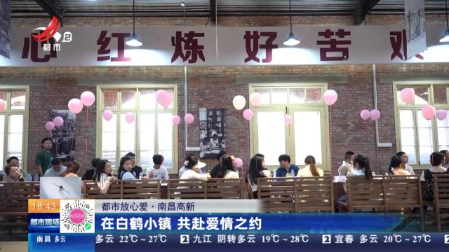 都市现场20240923
