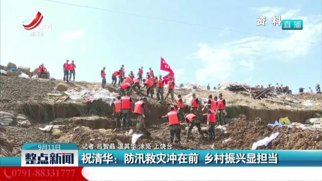 祝清华：防讯救灾冲在前 乡村振兴显担当