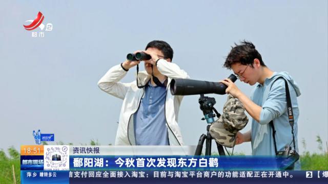 鄱阳湖：今秋首次发现东方白鹳