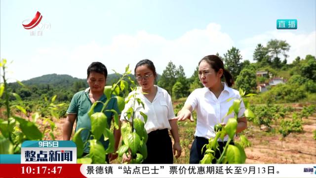 【新时代赣鄱先锋·担当作为好干部】王美：一心为民促振兴 冲锋在前勇担当