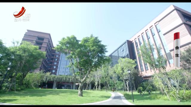 乡村栏目剧场20240831 余生
