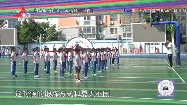 地宝当家20240927
