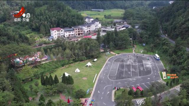 【2024年“中国农民丰收节”江西活动融媒体采风行】井冈山：红色资源 绿色生态 绘就和美乡村