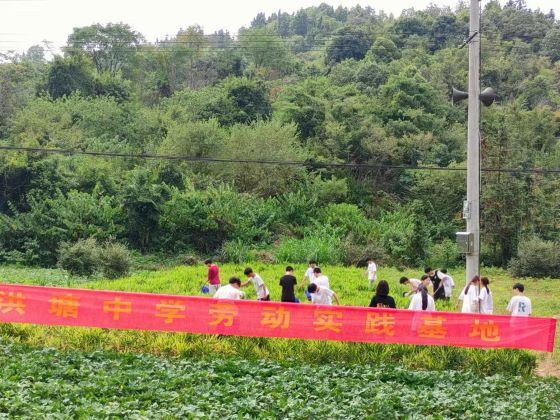 “姜”心比心 共同成长——宜春市袁州区洪塘中学积极开展劳动实践教育