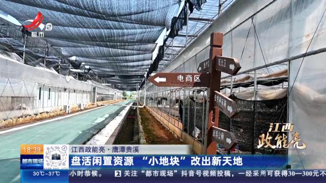 都市现场20240907