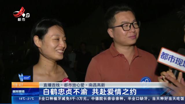 【直播连线·都市放心爱】南昌高新：白鹤忠贞不渝 共赴爱情之约