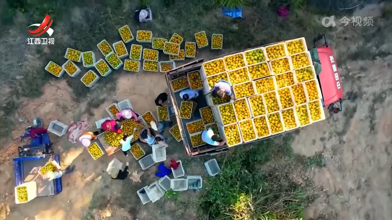 【改革在身边】江西：推动农村闲置资源有序流转 更好激发土地潜力